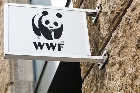 is world wildlife fund non profit|Funding and Financial Overview .